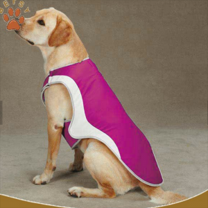 Mascota perro cool chaleco Tank
