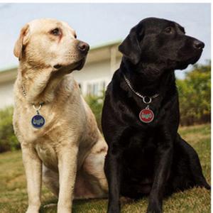 2018 etiquetas de identificación de perro o gato de venta caliente etiquetas de mascota de código grabado o QR