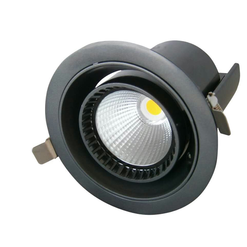 Rotar DOWNLIGHT 30W Spot luz arriba y abajo