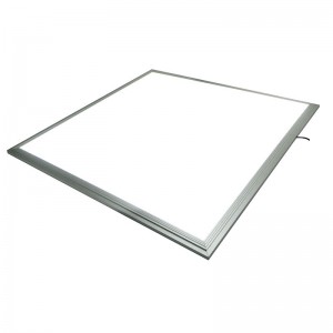 Luz del panel del precio de fábrica LED 300 * 300 600 * 300 600 * 600 600 * 1200 300 * 1200 ceface luz