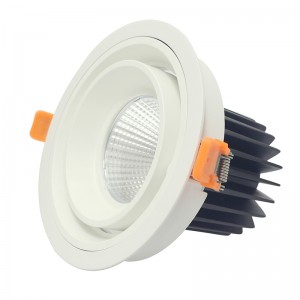 Lámpara LED ceilling de forma redonda y cuadrada COB 20W 30W empotrable hacia abajo luz led ceilling para montaje