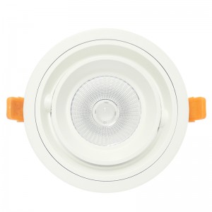 Lámpara LED ceilling de forma redonda y cuadrada COB 20W 30W empotrable hacia abajo luz led ceilling para montaje