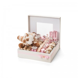 Venta caliente macaron caja de embalaje con tapa macaron caja de diseño