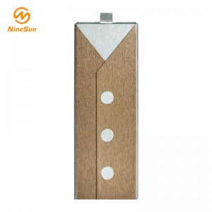 Bolígrafo de oro y plata