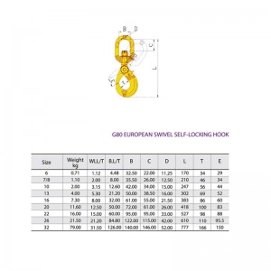 Gancho de seguridad giratorio autoblocante G80 pintado