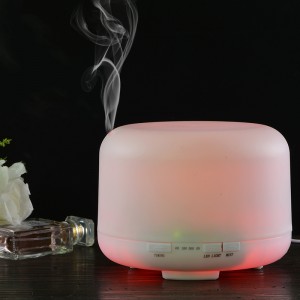 Humidificador de polietileno con difusor de luz vegetal, humidificador de frutas, productos para el cuidado de la piel Máquina de vapor
