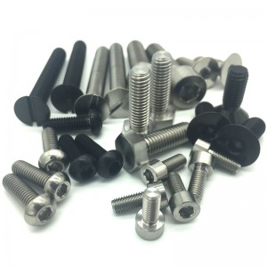 Tornillo y tornillo de titanio