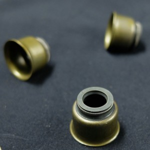 Alta calidad hecha en China. Sello de aceite de vástago de válvula para automóviles Ford.