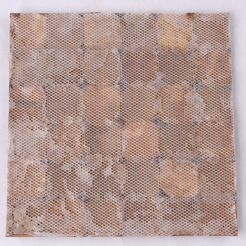 Teja decorativa pulida natural antigua de la pared del mosaico cuadrado de Shell del coco