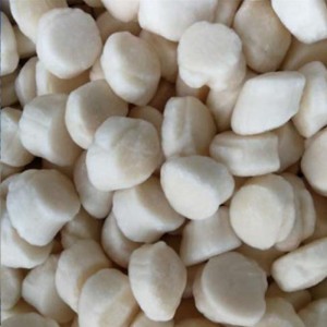 Carne De Vieira Congelada