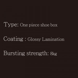 Shoe Box-One Piece3