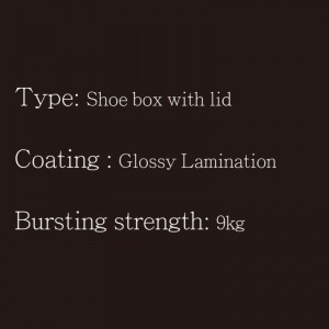 Caja de zapatos con tapa tipo2