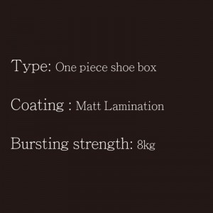 Caja de zapatos de una pieza tipo5