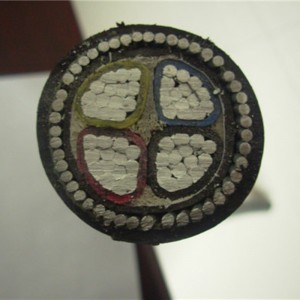 Cable blindado de aluminio de Electric Power Xlpe / Cable blindado de 4 núcleos