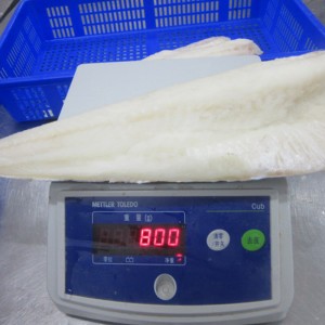 Filetes de bacalao del Atlántico salados ligeros congelados