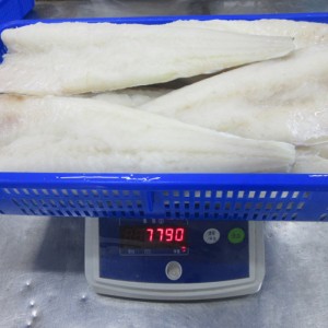 Filetes de bacalao del Atlántico salados ligeros congelados