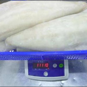 Filetes de Saithe Atlántico salado ligero salado