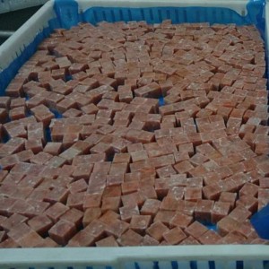 Cubo de salmón rosado congelado