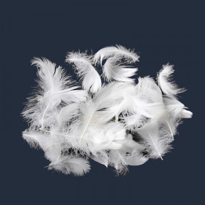 Pato natural, material de plumas de ganso