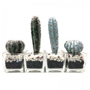 Cactus artificial en maceta de vidrio decorativa imitación decoración suculenta para el hogar o la oficina