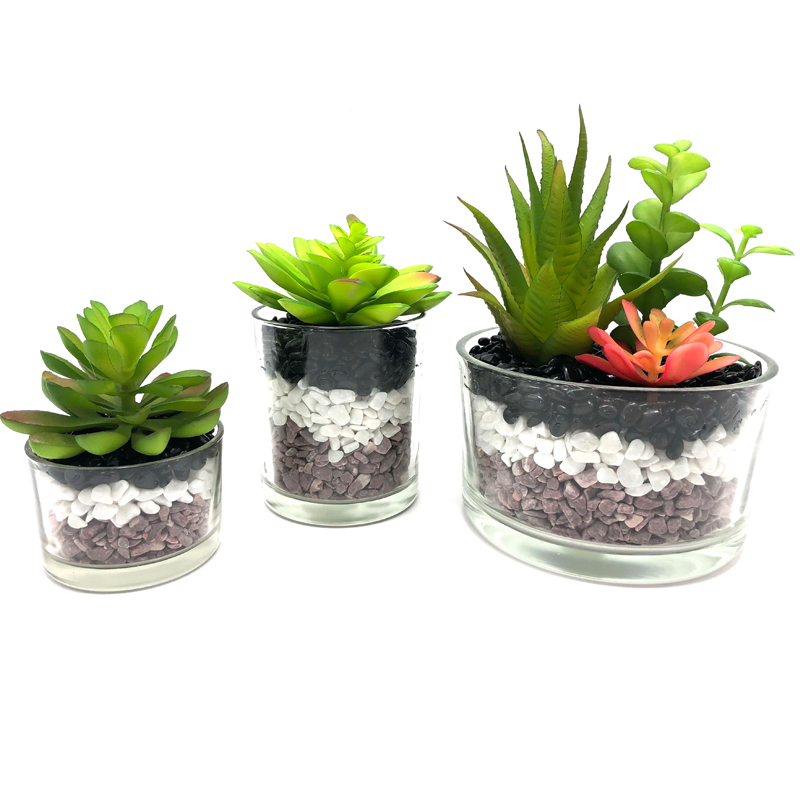 Plantas suculentas artificiales con florero de cristal decorativo de sobremesa de cristal