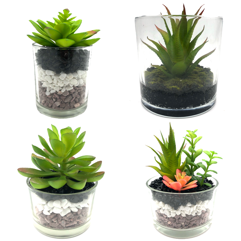 Plantas suculentas artificiales con florero de cristal decorativo de sobremesa de cristal