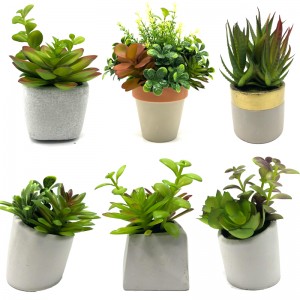 Mini plantas suculentas artificiales con maceta decorativa de sobremesa decorativa para el hogar