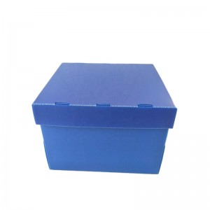 Caja de frutas y verduras