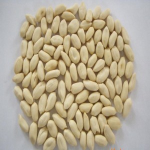 Peladora de maní / peladora de maní