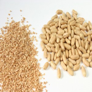 Picador de cacahuete / Picador seco de cacahuete