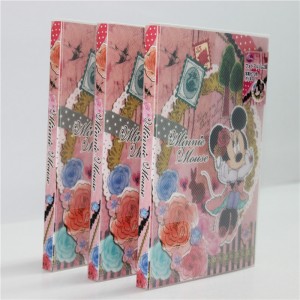 Álbum de fotos de impresión de plástico PP