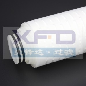 Cartucho de filtro plisado --- RFG