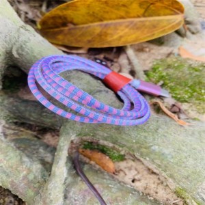 Hilo de datos telefónicos