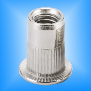 Cuerpo moleteado de cabeza plana