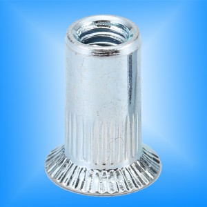 Cuerpo moleteado de cabeza avellanada