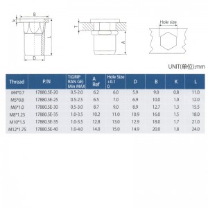 Cuerpo hexagonal interno de cabeza plana