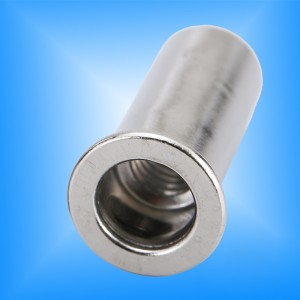 Cabeza plana Cuerpo redondo Extremo cerrado