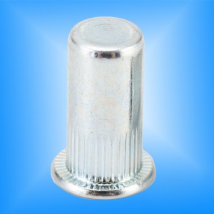 Cabeza plana Cuerpo moleteado Extremo cerrado