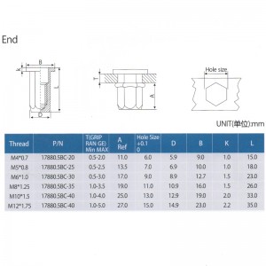 Cabeza plana Cuerpo hexagonal completo Extremo cerrado