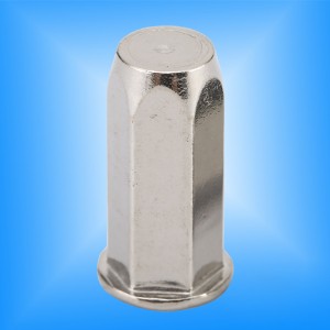 Cabeza plana Cuerpo hexagonal completo Extremo cerrado