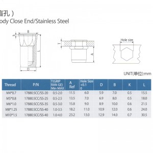 Reducir cabeza hexagonal Cuerpo hexagonal interno Extremo cerrado