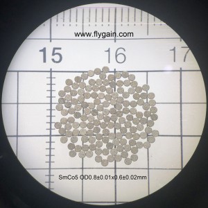 2019 China Fabricante Micro Precision Small SmCo Ring Magnet