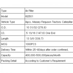 Filtros de aire (6i2501)
