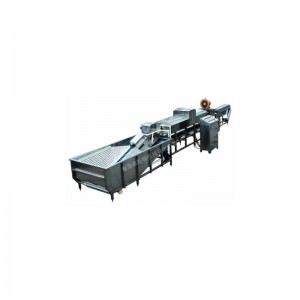 Wxd96 secadora de huevos