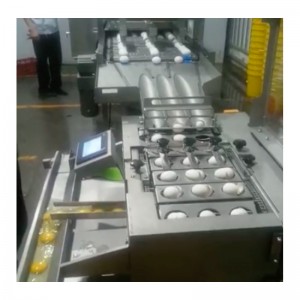 Wxd96 secadora de huevos