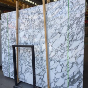 Losa de mármol blanco bianco arabescato