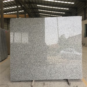 Losa de granito gris cisne