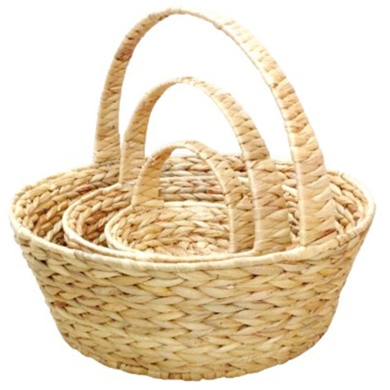 Jacinto de agua con asa