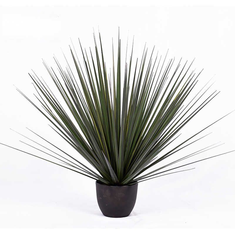 Ohh09200001 / ohh09200002 / ohh09200003