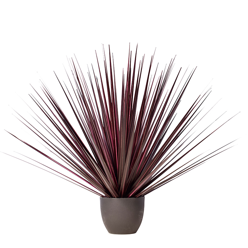 Ohh09200004 / ohh09200005 / ohh09200006